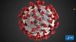 Miserotti (ISDE) su Radio Rai 1 in merito a coronavirus e clima