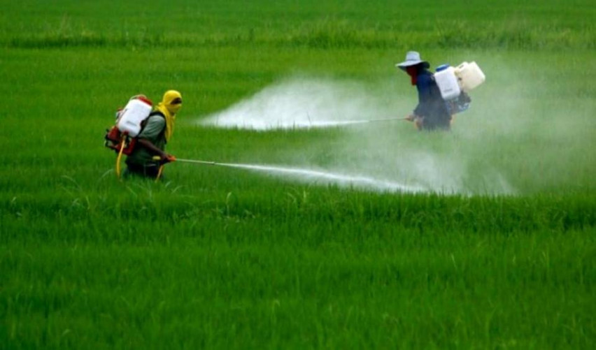 Pesticidi, agricoltura e biodiversità