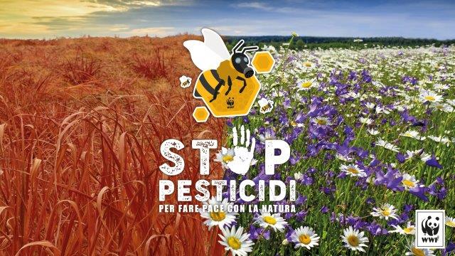Stop pesticidi: lettera aperta dell’alleanza ICE“SALVIAMO API E AGRICOLTORI” ai decisori politici italiani