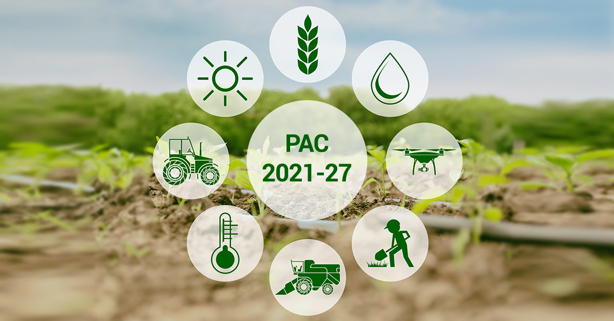 Attuazione della nuova PAC 2022 in Italia: elogio funebre della transizione ecologica dell’agricoltura