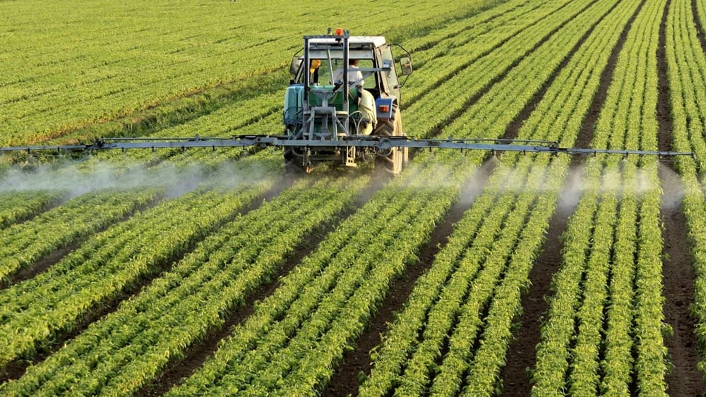 Pesticidi: urgente e necessario ridurre il loro uso