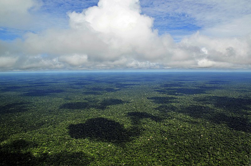 <strong>I Medici per l’Ambiente: «Auspichiamo che le elezioni in Brasile segnino una nuova era per l’Amazzonia»</strong>