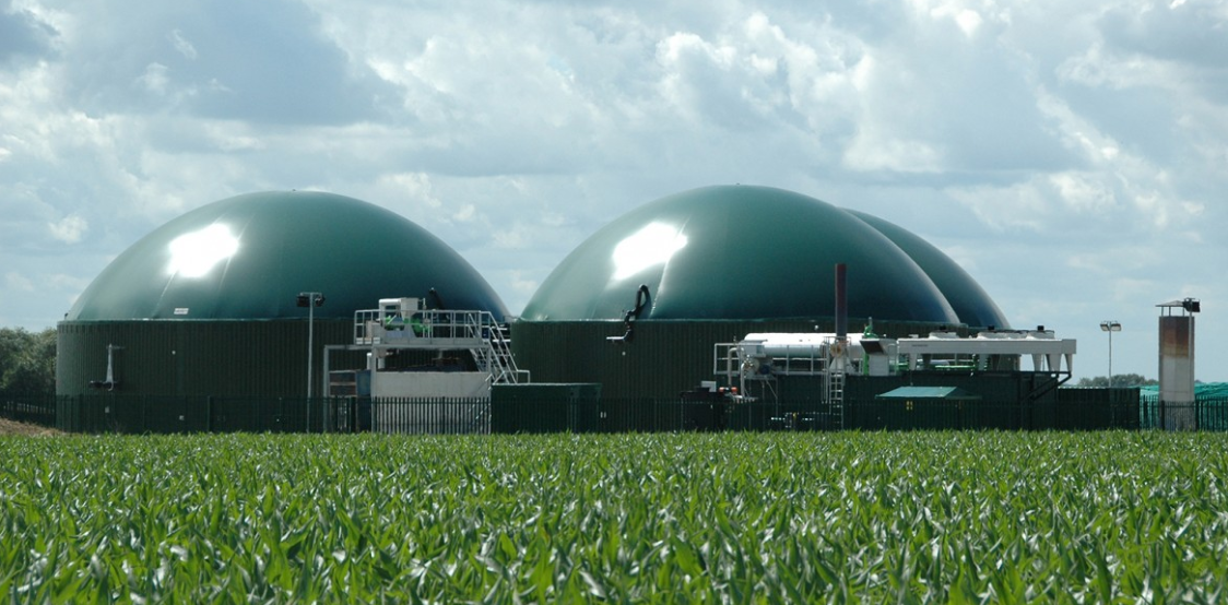 I Medici per l’Ambiente di Verbania contro l’impianto di biogas a Cuzzago: ecco le nostre ragioni