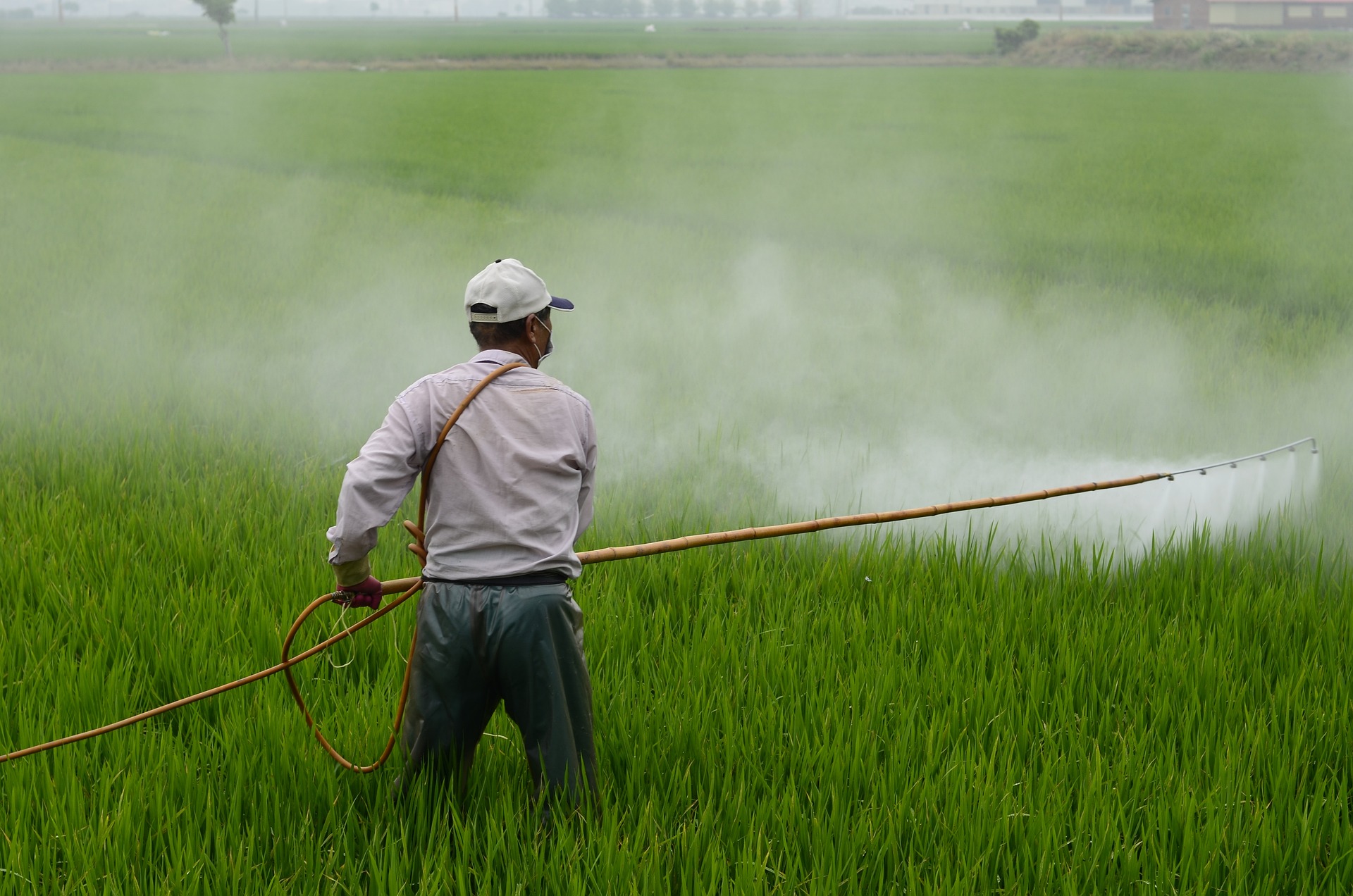 Uso sostenibile dei pesticidi: il sostegno di 69 associazioni alla relazione dell’eurodeputata Sarah Wiener