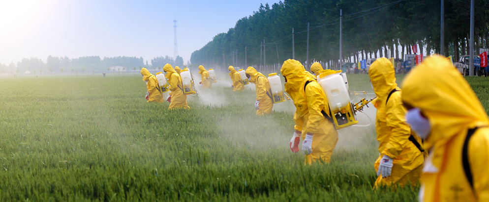 Firmiamo la petizione: l’Europa dice no ai pesticidi