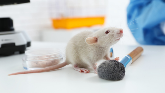 La Commissione europea sostiene l’eliminazione graduale dell’uso di animali negli esperimenti e nei test chimici, ma ignora i desideri dei cittadini sui cosmetici