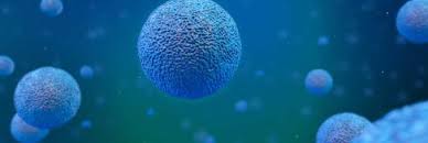 Meno polveri sottili, più nanoparticelle: polmoni a rischio