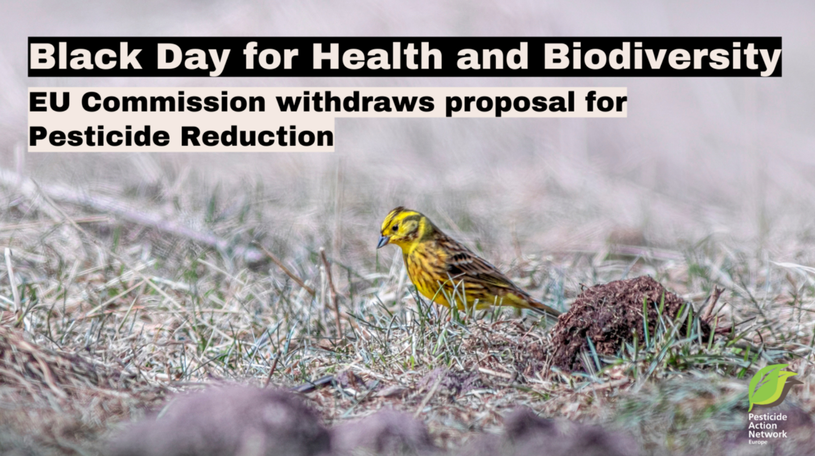 Giornata nera per la salute e la biodiversità: la Commissione europea ritira la proposta di riduzione dei pesticidi