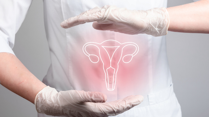 Uno studio sull’endometriosi rivela l’incongruenza tra la ricerca sugli animali e le indagini cliniche