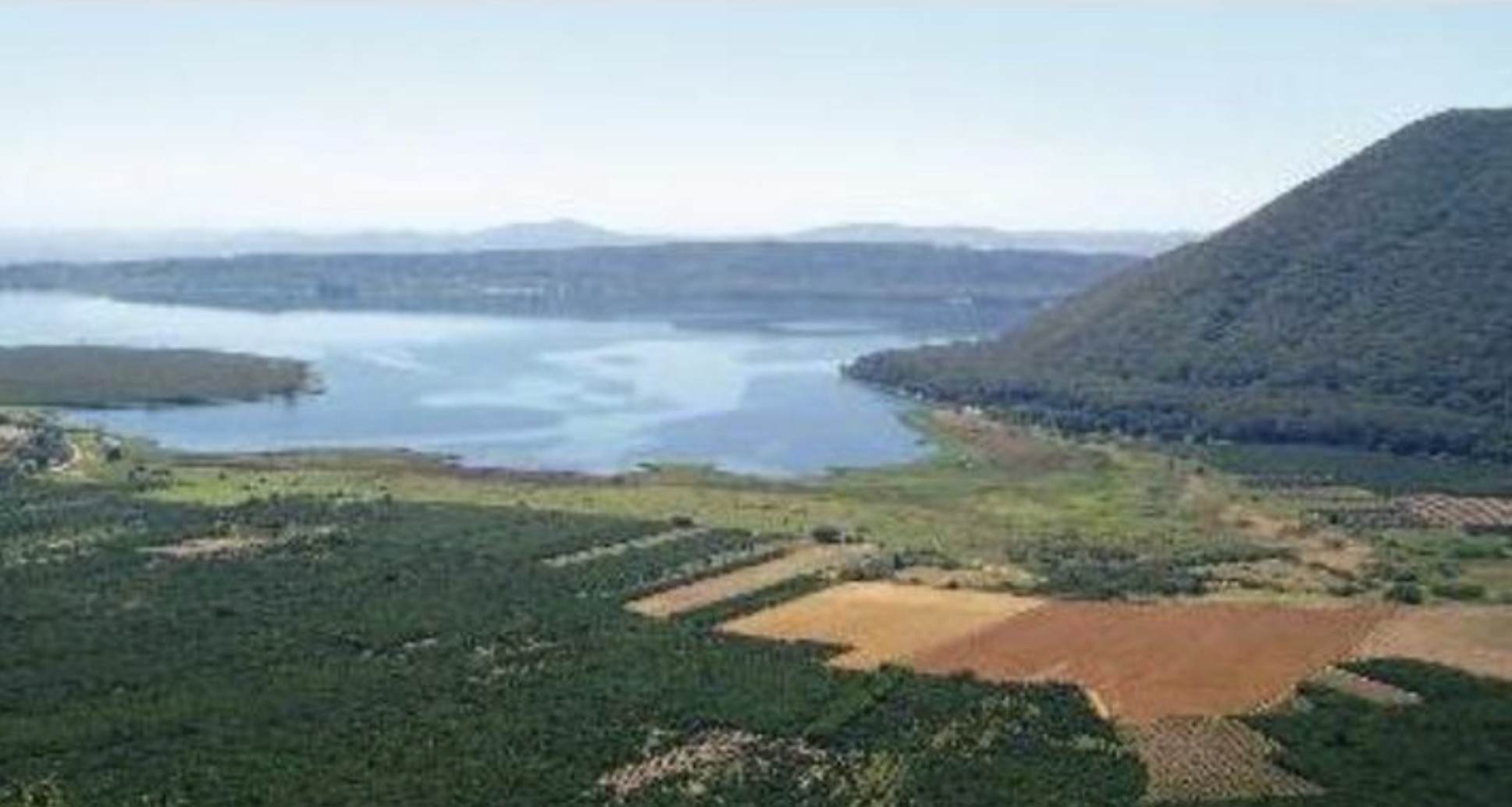 Lago di Vico, ISDE Viterbo chiede ai Comuni verifiche sull’uso dei fitofarmaci e sul piano di tutela