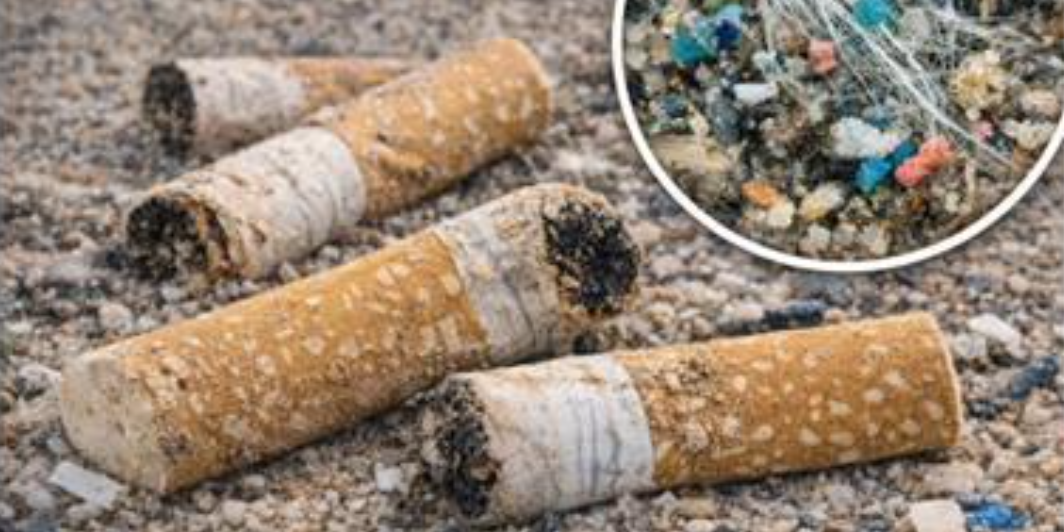 Congresso ISDE Italia 2026, mozziconi di sigaretta: un problema per l’ambiente e la salute, le proposte dei Medici per l’Ambiente